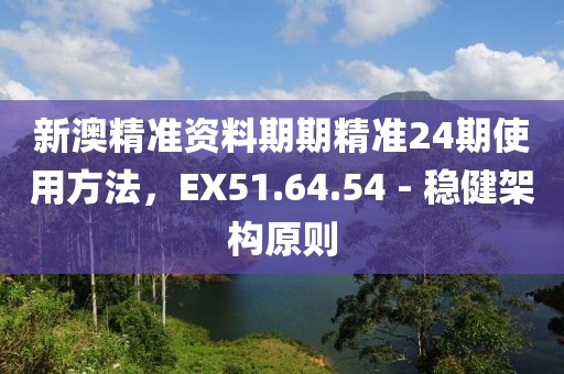 新澳精準(zhǔn)資料期期精準(zhǔn)24期使用方法，EX51.64.54 - 穩(wěn)健架構(gòu)原則