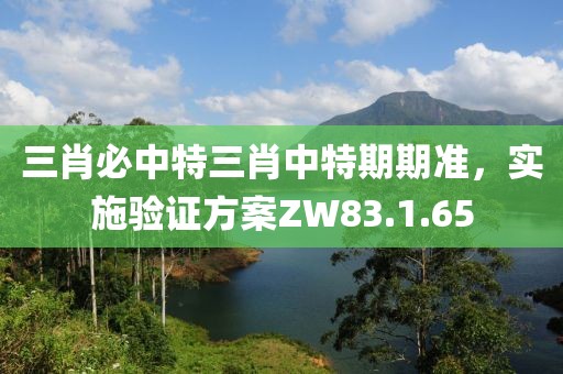 三肖必中特三肖中特期期準，實施驗證方案ZW83.1.65