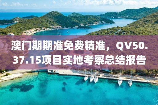 澳門(mén)期期準(zhǔn)免費(fèi)精準(zhǔn)，QV50.37.15項(xiàng)目實(shí)地考察總結(jié)報(bào)告