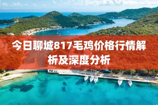 今日聊城817毛雞價(jià)格行情解析及深度分析