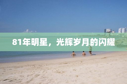 81年明星，光輝歲月的閃耀