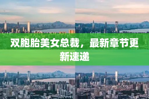 雙胞胎美女總裁，最新章節(jié)更新速遞