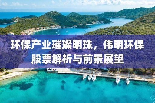 環(huán)保產(chǎn)業(yè)璀璨明珠，偉明環(huán)保股票解析與前景展望