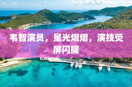 韋智演員，星光熠熠，演技熒屏閃耀