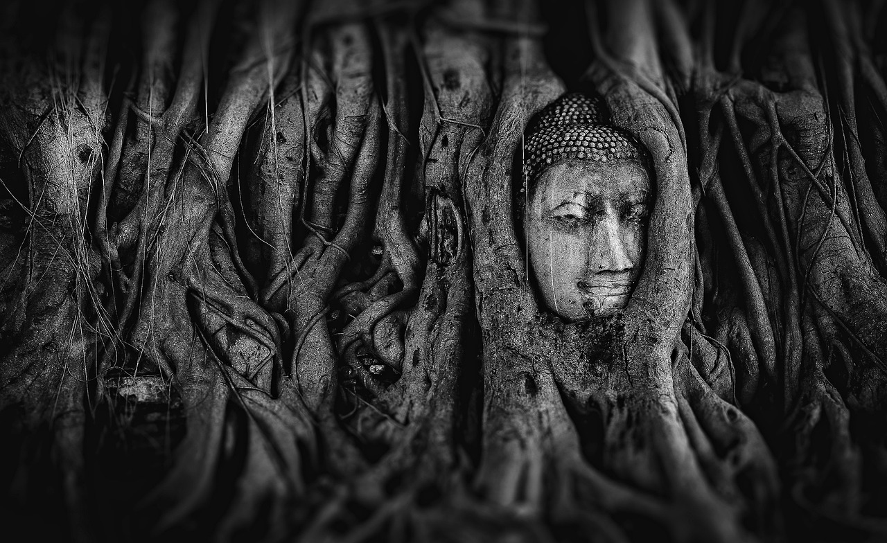 探尋神秘世界的巔峰之旅，無(wú)上神王最新章節(jié)