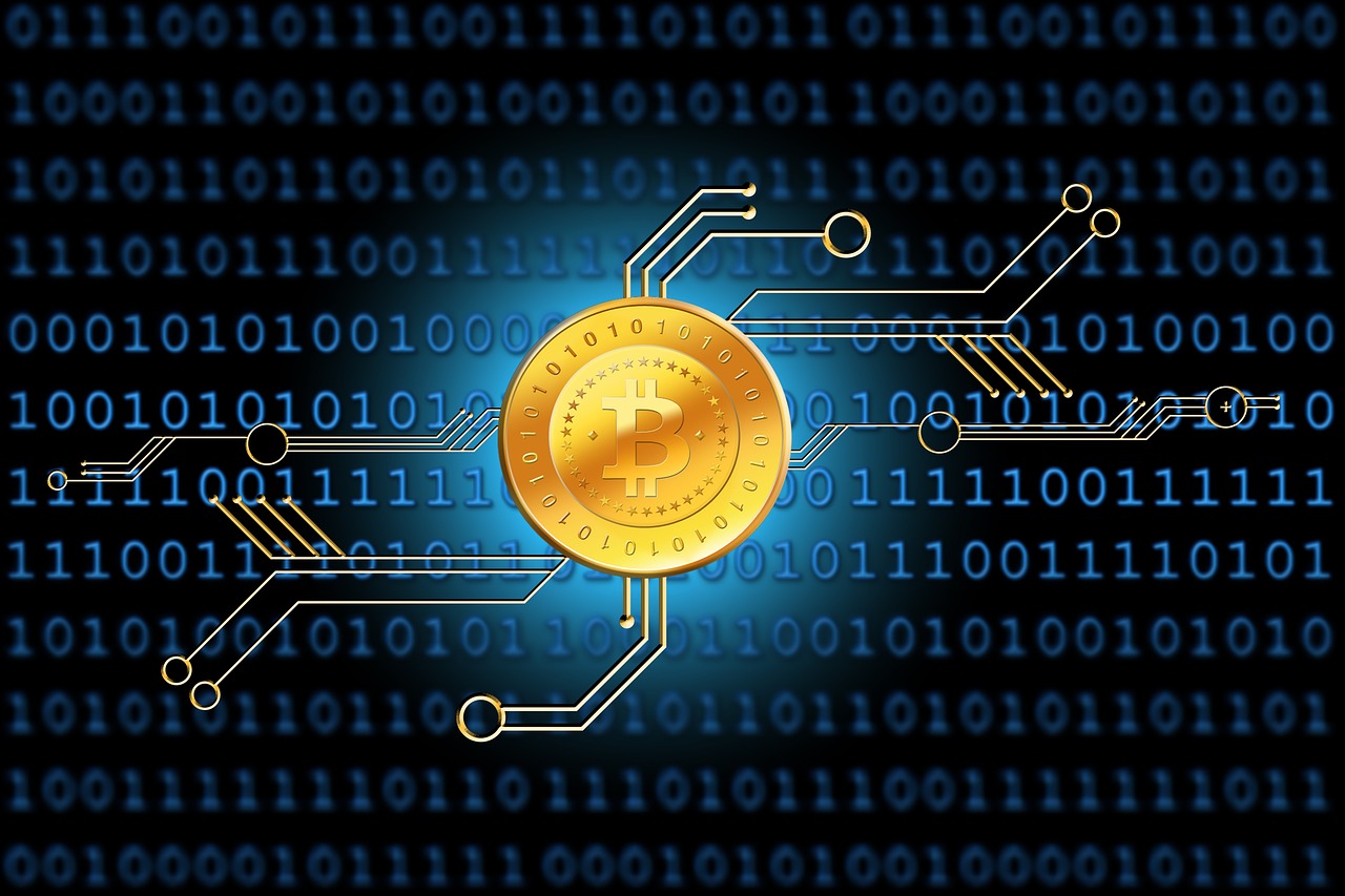 仁壽網貿港最新資訊概覽，掌握最新動態(tài)與資訊速遞